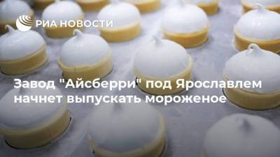 Завод "Айсберри" под Ярославлем начнет выпускать мороженое