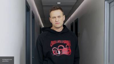 ФРГ не передавала ОЗХО материалы по блогеру Навальному