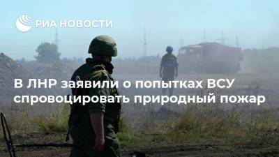 В ЛНР заявили о попытках ВСУ спровоцировать природный пожар