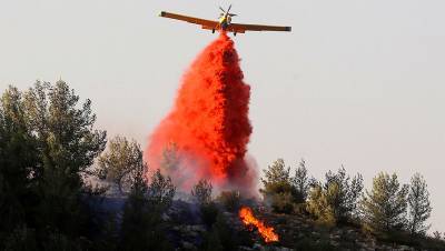 В России за сутки потушили 14 лесных пожаров