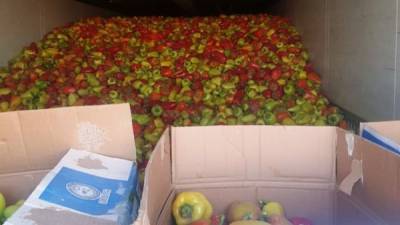 Через границу под Акбулаком не пустили 88 тонн сомнительных овощей и фруктов