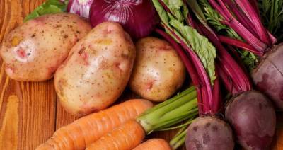 В Беларуси планируют собрать 6,1 млн т картофеля и 1,76 млн т овощей