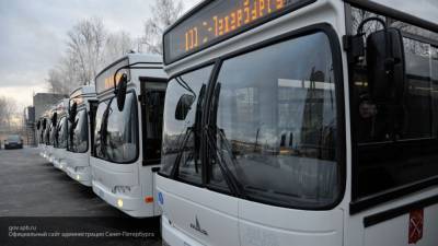 Городской транспорт в РФ может стать бесплатным