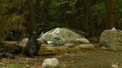 В Пензе собутыльники оставили бездомного в кустах - penzainform.ru - Пенза