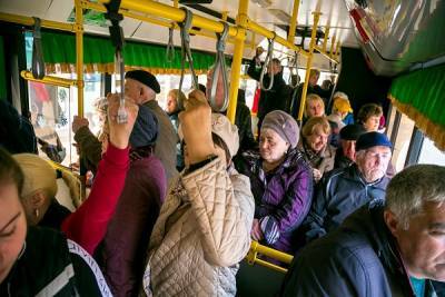 Бесплатный проезд в транспорте в России может появиться через 15 лет