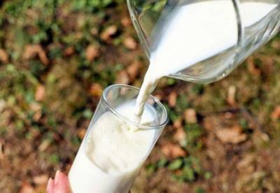 Медики назвали вред от чрезмерного употребления молока