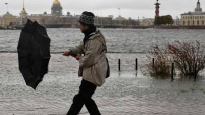 Уровень воды в Неве поднялся до 151 сантиметра во время шторма