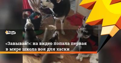 «Завывай!»: на видео попала первая в мире школа воя для хаски