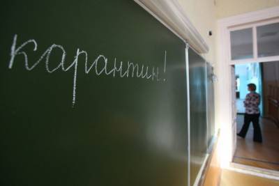 В Ярославской области целая школа ушла на карантин