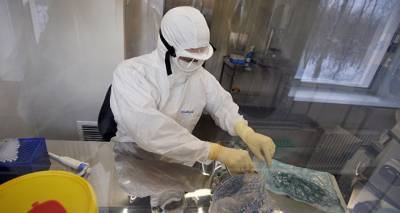 Число выявленных случаев коронавируса в мире достигло 28,3 млн – новые данные