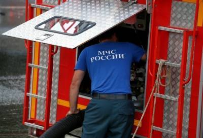 Пожар на складе с семечками в Ростовской области локализован на площади 1000 кв. метров