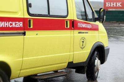 В Сыктывкаре водитель мопеда попал в больницу после наезда на собаку