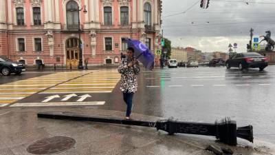 В Петербурге во время шторма спасатели выезжали более 400 раз