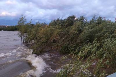 Поваленные деревья, летающие заборы и затопленные набережные: петербуржцы рассказали о последствиях ночного шторма