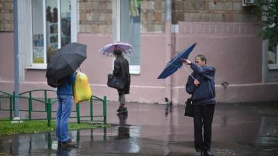 В МЧС рассказали о последствиях сильного ветра в Петербурге