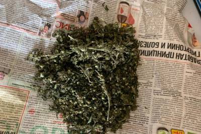 Житель Тверской области сорвал дикое растение и стал фигурантом дела