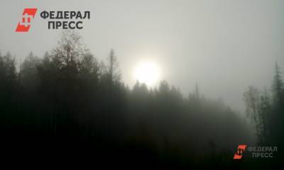 Названы масштабы и причины сильного загрязнения воздуха в Красноярске