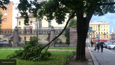 Два человека пострадали во время урагана в Петербурге