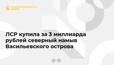 ЛСР купила за 3 миллиарда рублей северный намыв Васильевского острова