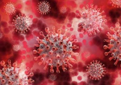 За последние сутки коронавирус подтвердился у 31 рязанца