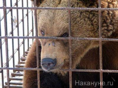 “Нам отказали налоговые всех уровней”. Зоопарк Екатеринбурга потерял миллионы из-за пандемии
