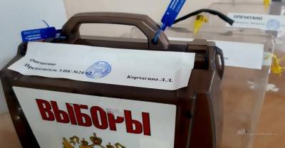 В Липецке начались трёхдневные выборы депутатов горсовета
