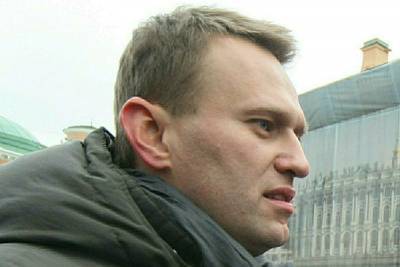 МВД ищет спутницу Навального, которая не дала показаний