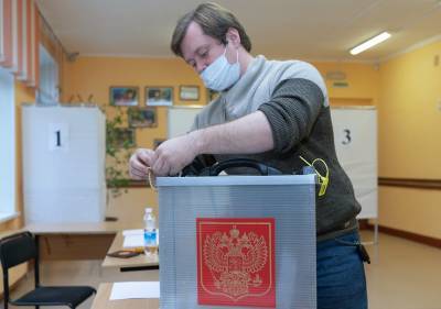 В Москве работают 30 цифровых участков для голосования