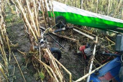 В Житомирской области посреди поля с подсолнухами упал дельтаплан