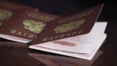 Вице-премьер Украины рассказал, что ждет жителей Донбасса с паспортами РФ