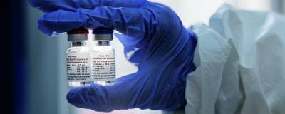 Россия поставит в Бразилию до 50 млн доз вакцины «Спутник V»