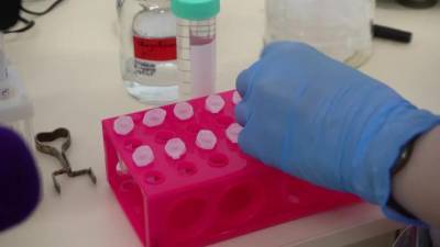 В Ленинградской области зафиксировали 36 новых случаев коронавируса