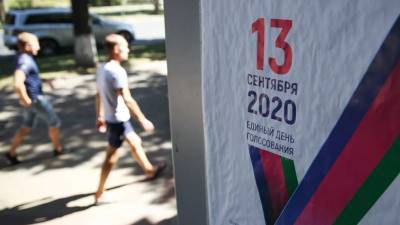Эксперт оценил текущую предвыборную кампанию в России