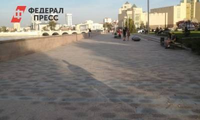 В Челябинске снова незаконно выкопали зеленые насаждения