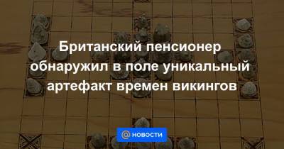 Британский пенсионер обнаружил в поле уникальный артефакт времен викингов