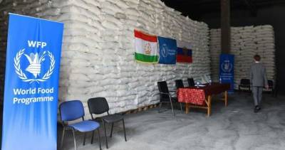 Россия передала Таджикистану 2 тысячи тонн витаминизированной муки для школьников
