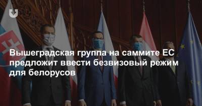 Вышеградская группа на саммите ЕС предложит ввести безвизовый режим для белорусов