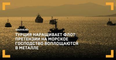 Турция наращивает флот: претензии на морское господство воплощаются в металле