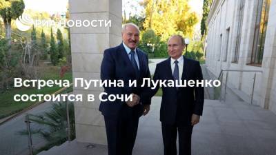 Встреча Путина и Лукашенко состоится в Сочи