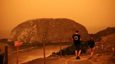 Полиция расследует дело о поджоге, который мог привести к лесным пожарам в Орегоне