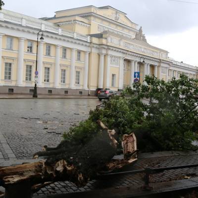 В Санкт-Петербурге штормовой ветер повалил не менее 458 деревьев