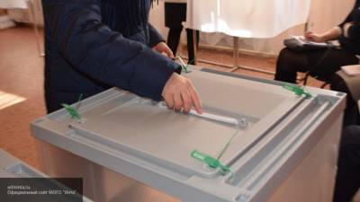 Профессор опроверг фейки о недопуске избирателей на участки в Краснодаре