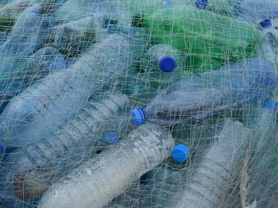 Эколог рассказала, почему не стоит сдавать в переработку пластиковые бутылки с крышками