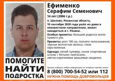 В Рязанской области разыскивают 14-летнего подростка