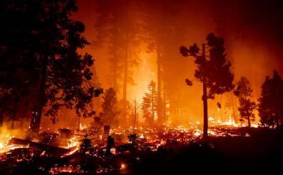 Пожары в США: эвакуировано полмиллиона людей