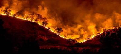 США охватили масштабные лесные пожары, погибли более 20 человек