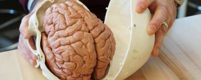 Ученые: COVID-19 влияет на работу головного мозга