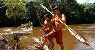 В Бразилии дикие племена убили известного этнографа