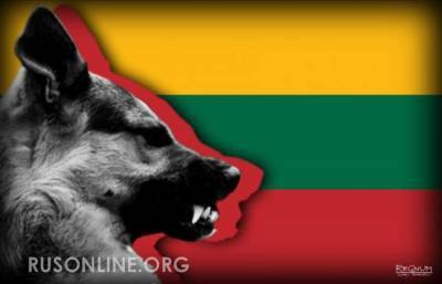 Литва от безысходности решилась на невиданно резкий выпад против России