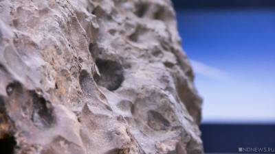 Житель Алтайского края нашел метеорит